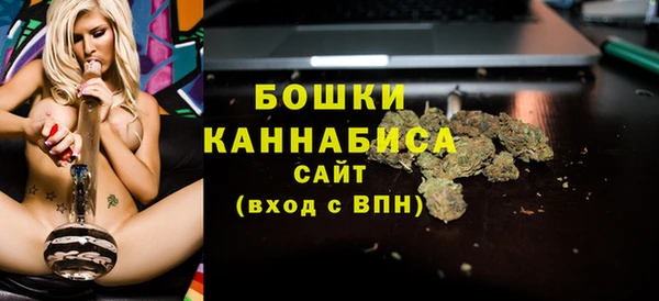 дмт Горнозаводск
