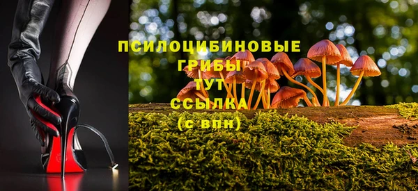 таблы Горно-Алтайск