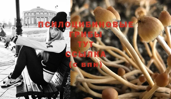 2c-b Вязники