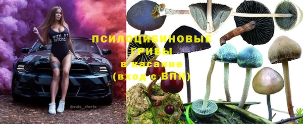 эйфоретик Волосово