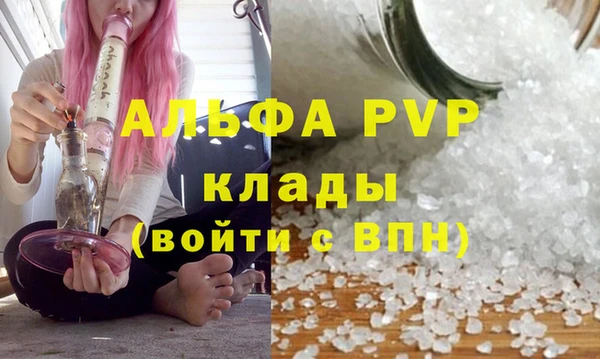прущие крисы Вяземский