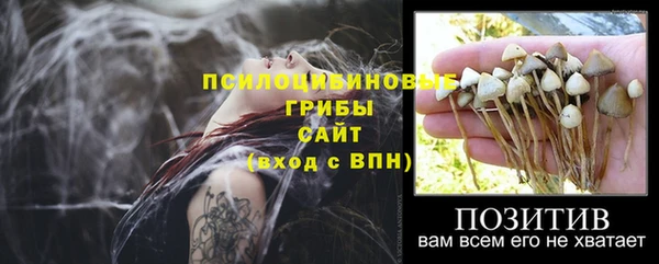 эйфоретик Волосово